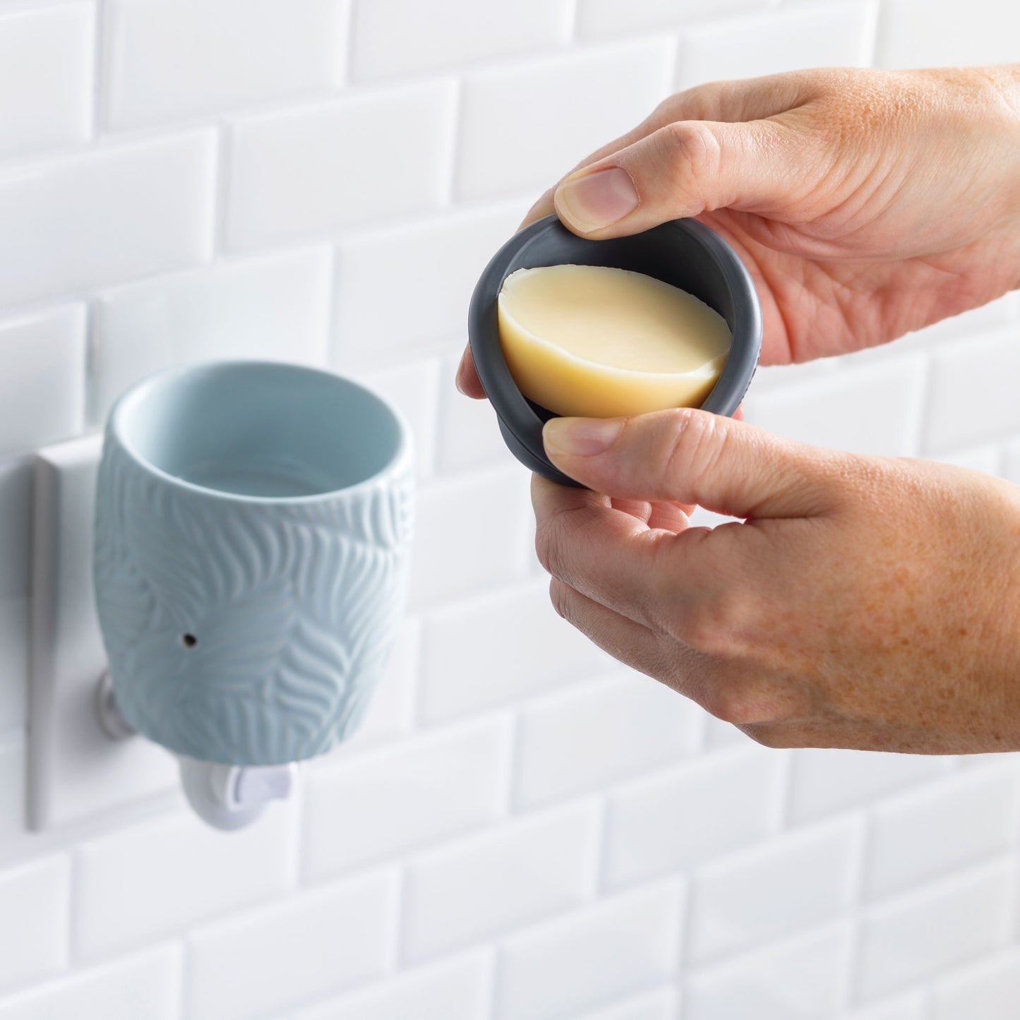 Ocean Palm Flip Dish Pluggable