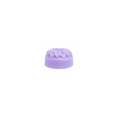 Sweet Pea Flower PODS